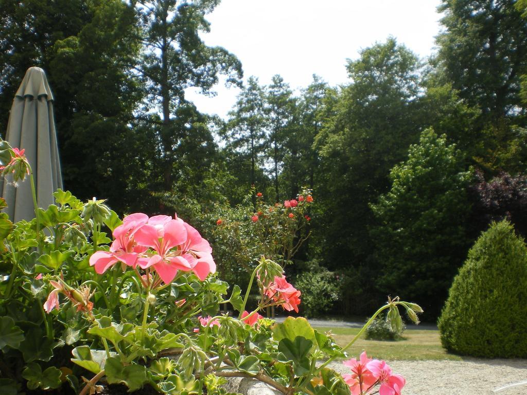 Chateau Baffy Colombiers-sur-Seulles Екстер'єр фото